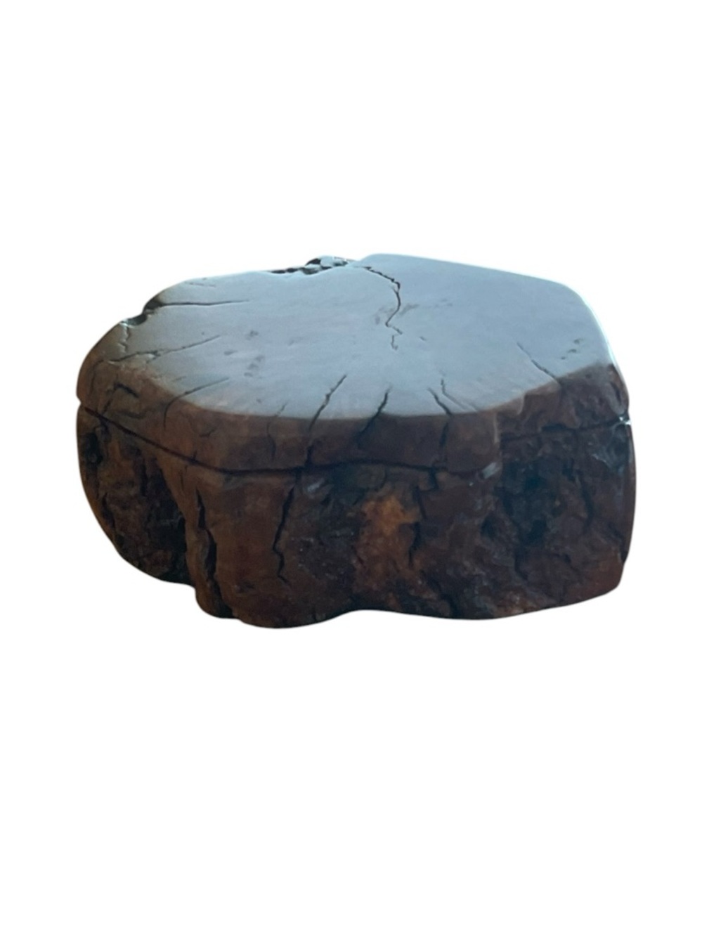 Handmade natural burl wood keepsake box